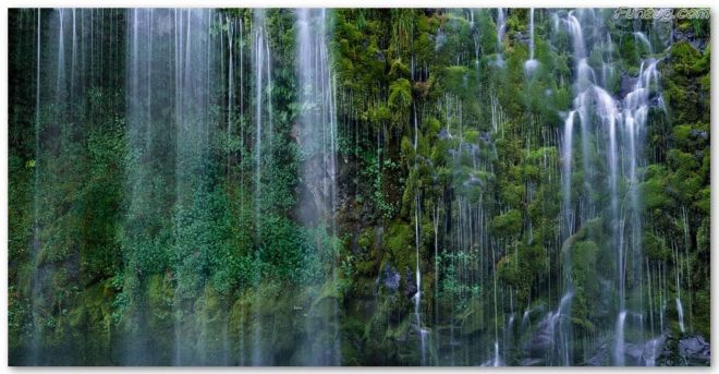 Click to Enlarge - BeautifuL Nature Wallpapers