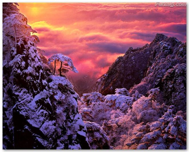 Click to Enlarge - BeautifuL Nature Wallpapers