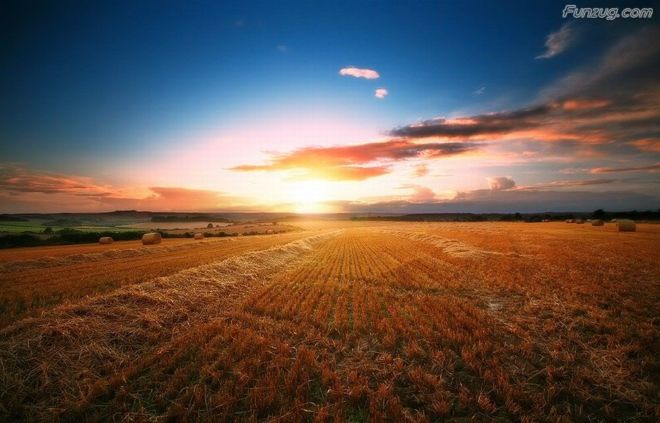 BeautifuL Nature Photography By Gordon McBryde