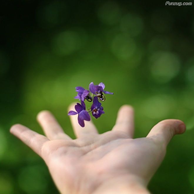 BeautifuL Nature Photography By Gordon McBryde