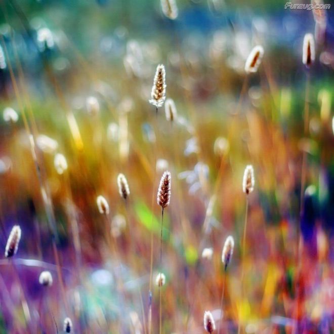 BeautifuL Nature Photography By Gordon McBryde