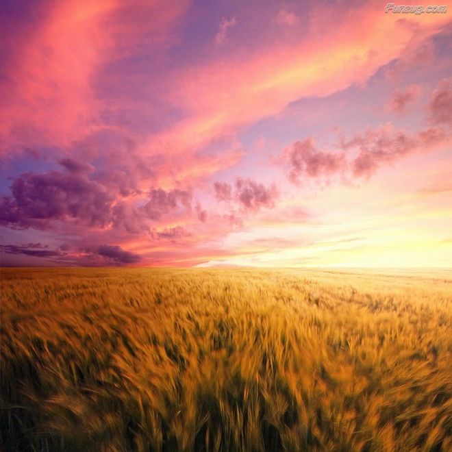 BeautifuL Nature Photography By Gordon McBryde