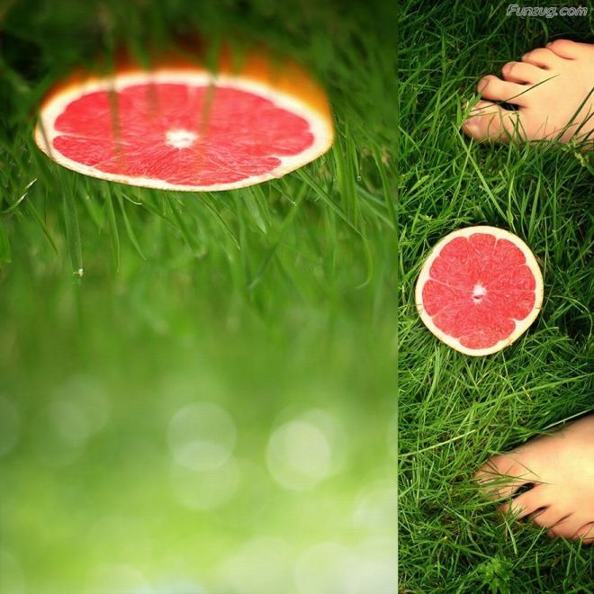 BeautifuL Nature Photography By Gordon McBryde