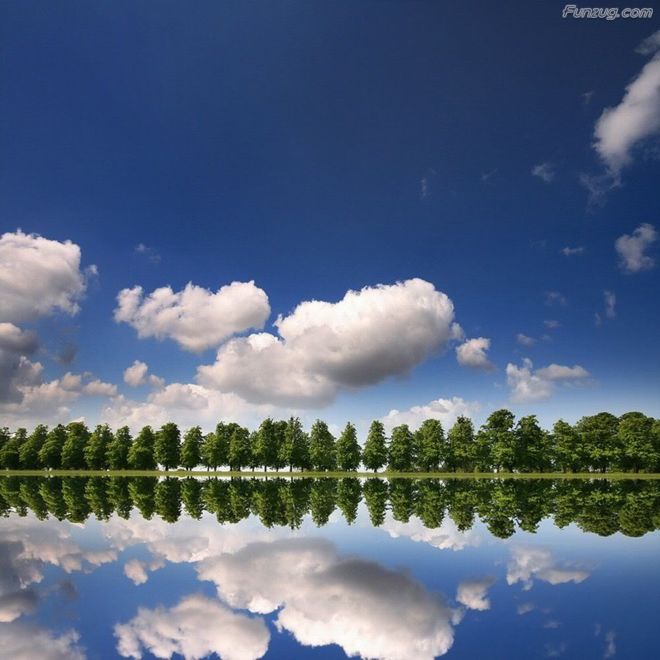 BeautifuL Nature Photography By Gordon McBryde