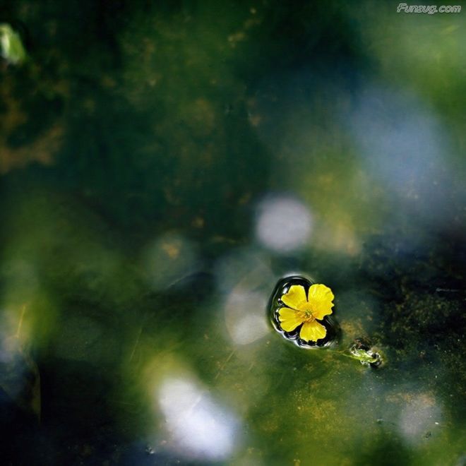 BeautifuL Nature Photography By Gordon McBryde