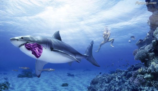 Most Amazing Photoshopped Wallpapers