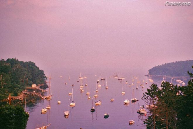 Click to Enlarge - Bollywood Beauty Urvashi Sharma Wallpapers