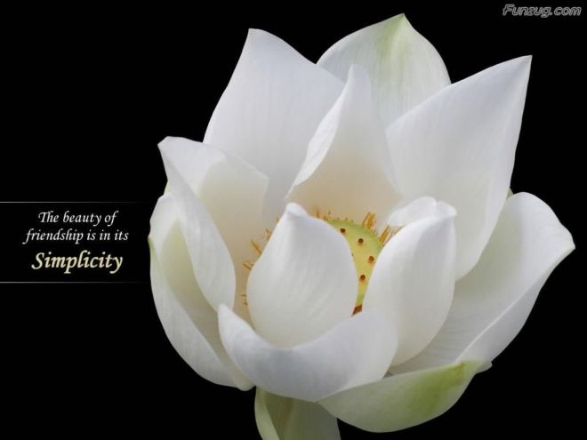 Click to Enlarge - A True Friend Comes Once in a Lifetime