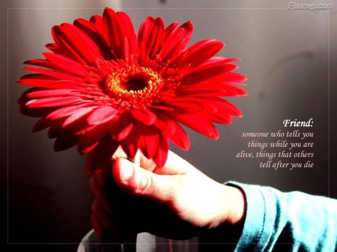 Click to Enlarge - A True Friend Comes Once in a Lifetime