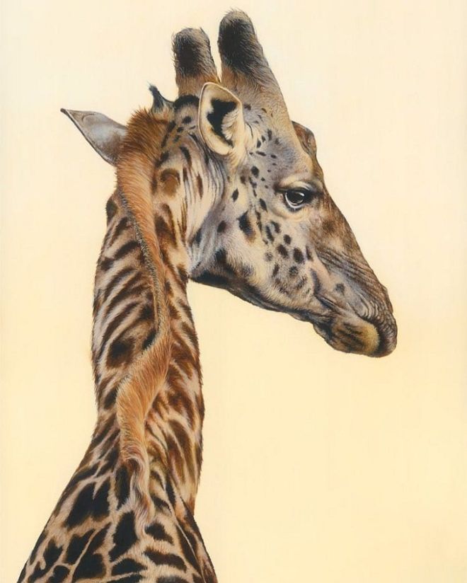 An Artist Makes Remarkable HyperRealistic Wildlife Paintings