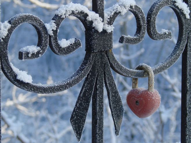 The Majestic Beauty Of Snowfall