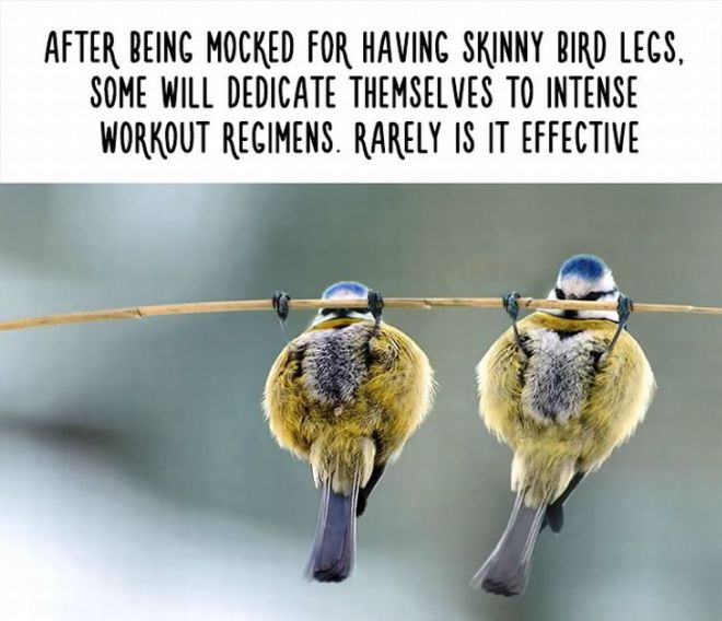 20 Most Bizarre Animal Facts With Funny Pictures