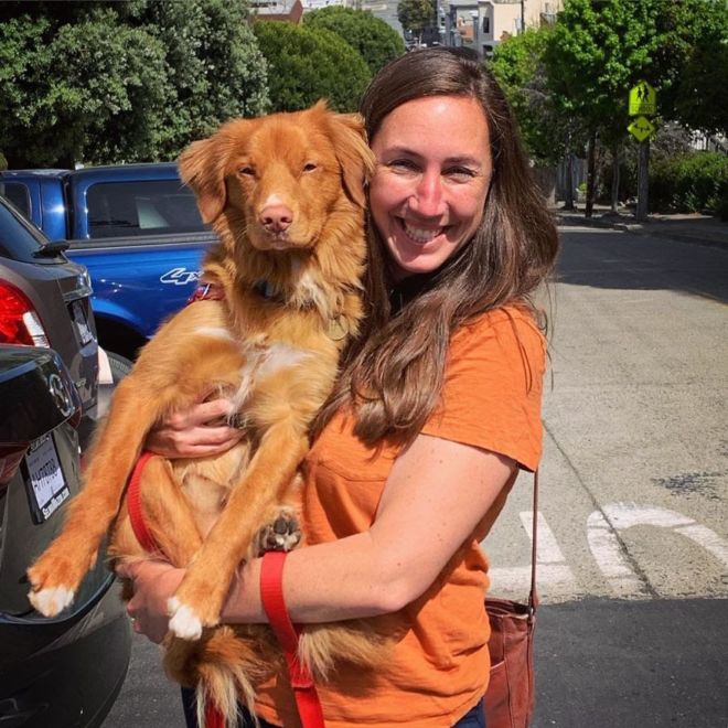 This Adorable Doggie Loves To Hangout With His Butterflies