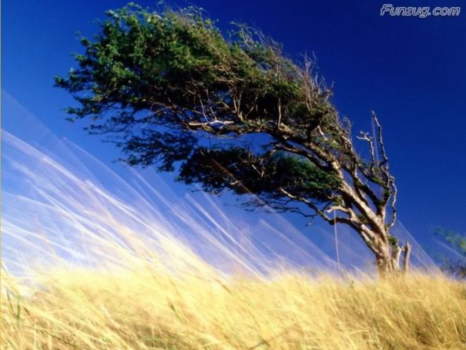 Alone with the Nature Wallpapers