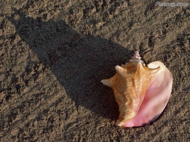 Alone with the Nature Wallpapers