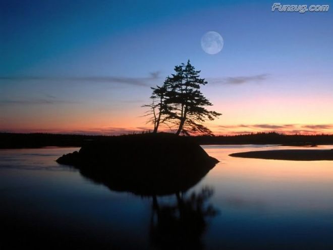 Alone with the Nature Wallpapers