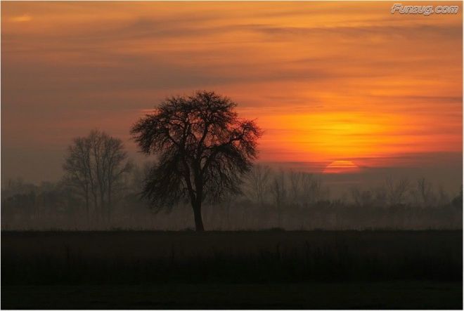 Click to Enlarge - So Nice Nature Wallpapers