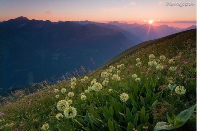 Click to Enlarge - So Nice Nature Wallpapers