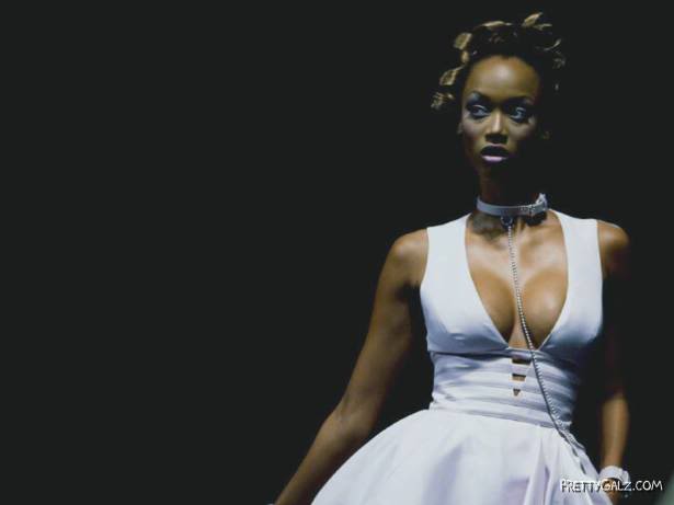 Sexy Supermodel Tyra Banks
