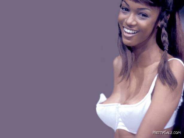 Sexy Supermodel Tyra Banks